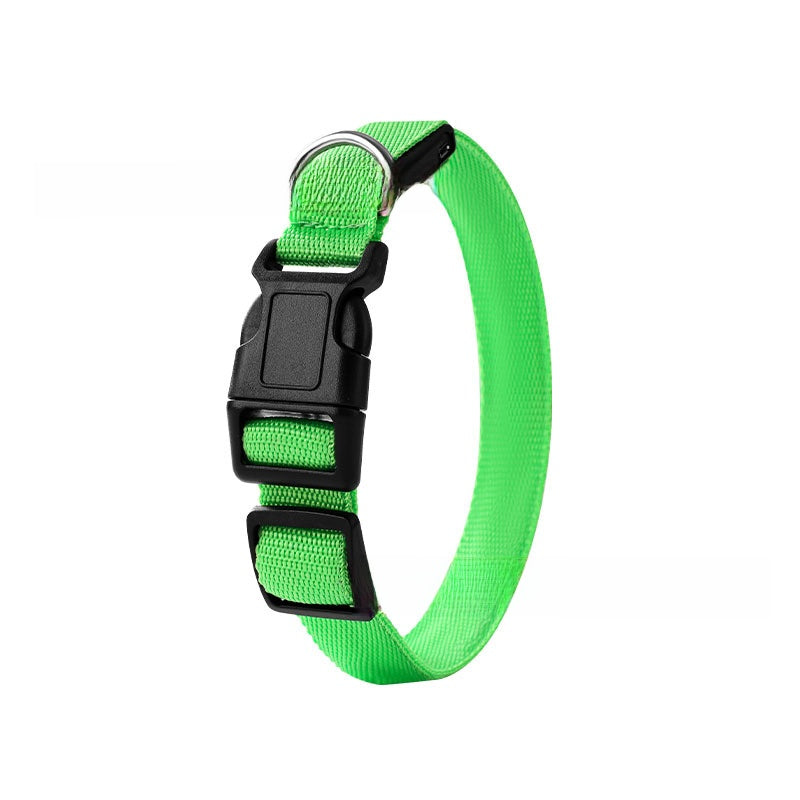 USB rechargeable LED dog collar glowing in bright colour, product image 11