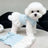 Blue polo collar summer dog dress, in Blue, image 8