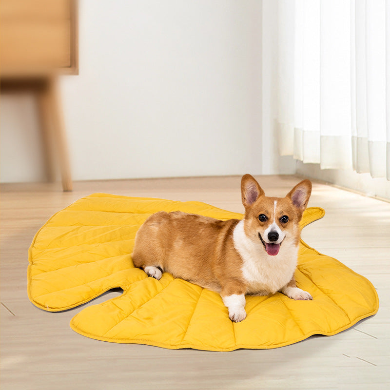 Ginkgo yellow leaf shaped pet mat rug for cats and dogs, photo 6