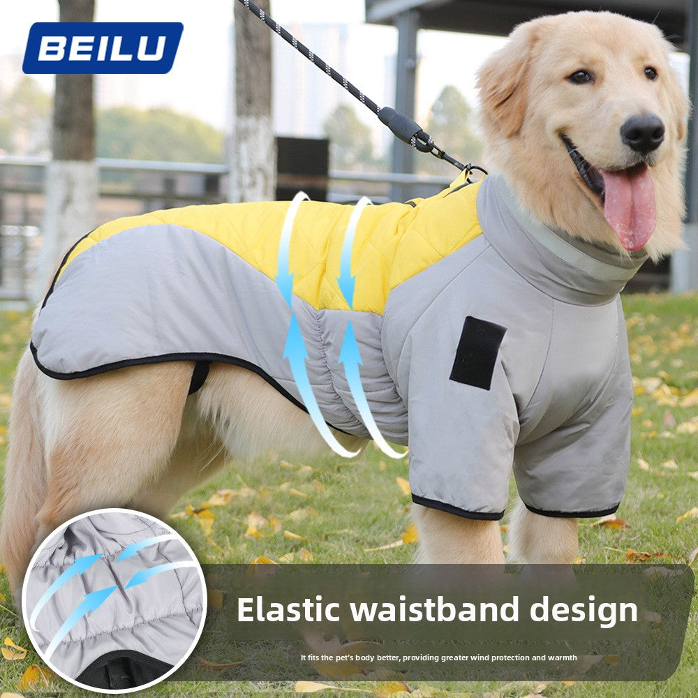 Large dog in a grey and orange reflective padded gilet
