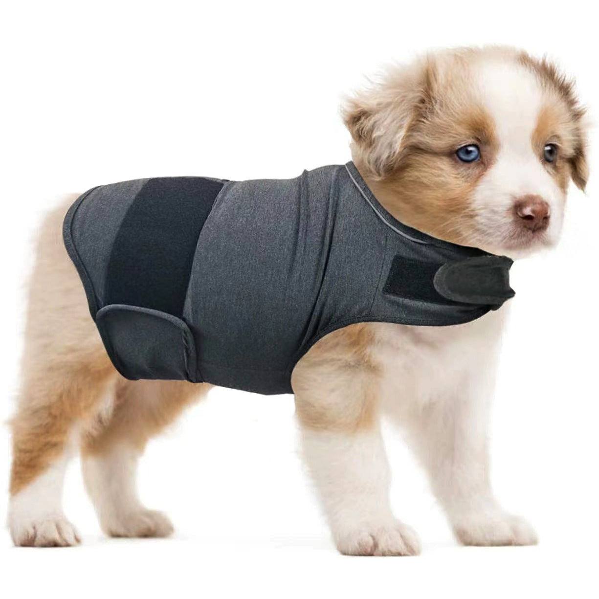 Cotton dog comfort pressure vest, available in 6 colours, image 9