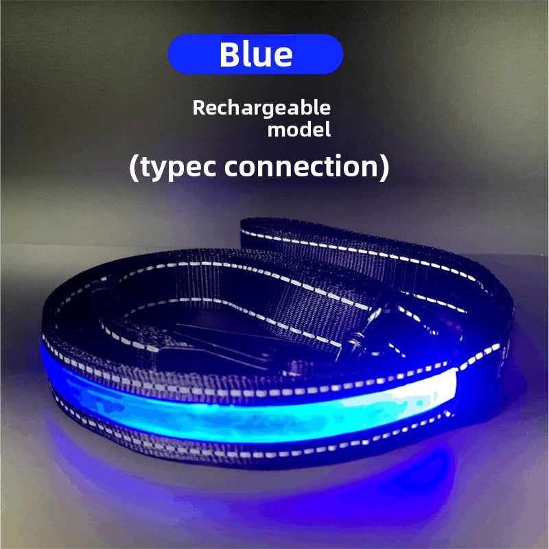 USB rechargeable LED dog collar, main product photo
