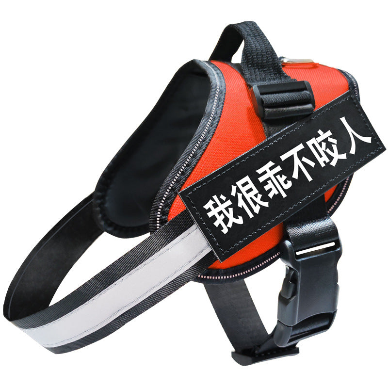 Reflective dog harnesses shown in seven bright colours