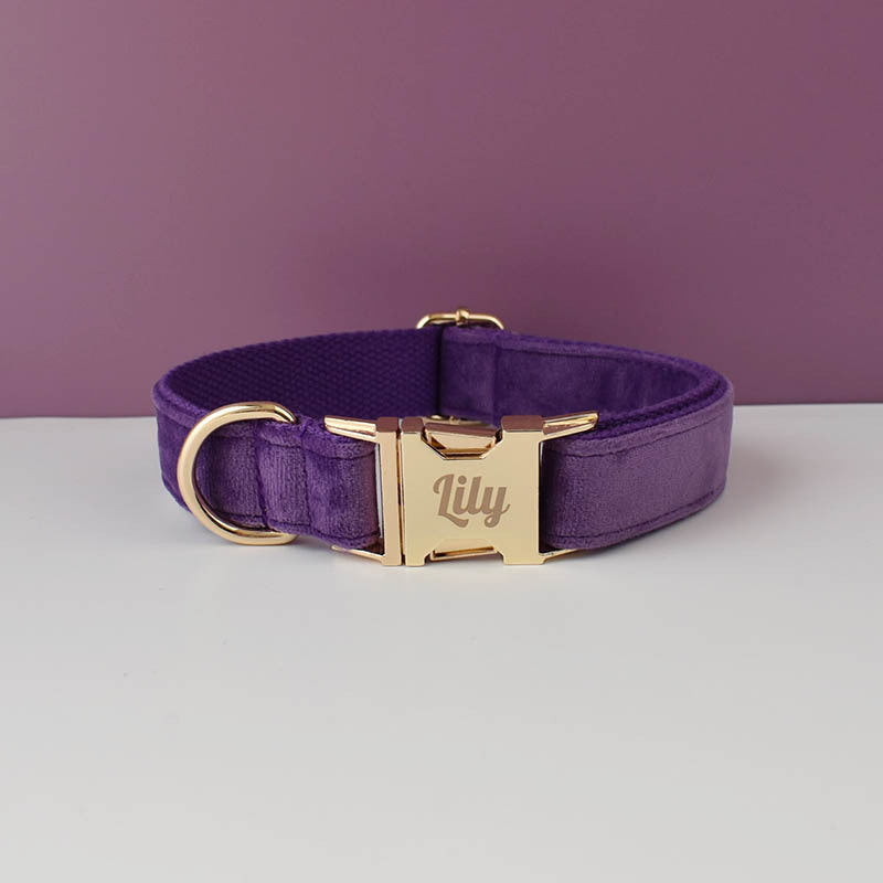 Velvet dog collars in burgundy, purple and white colour options