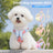 Plaid dog harness and lead with bow, main product photo