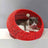 Hand woven rattan cat bed with removable washable cushion, view 14 of 23