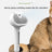 Needle Spray Comb for Pets, Gentle Mist Detangling Brush