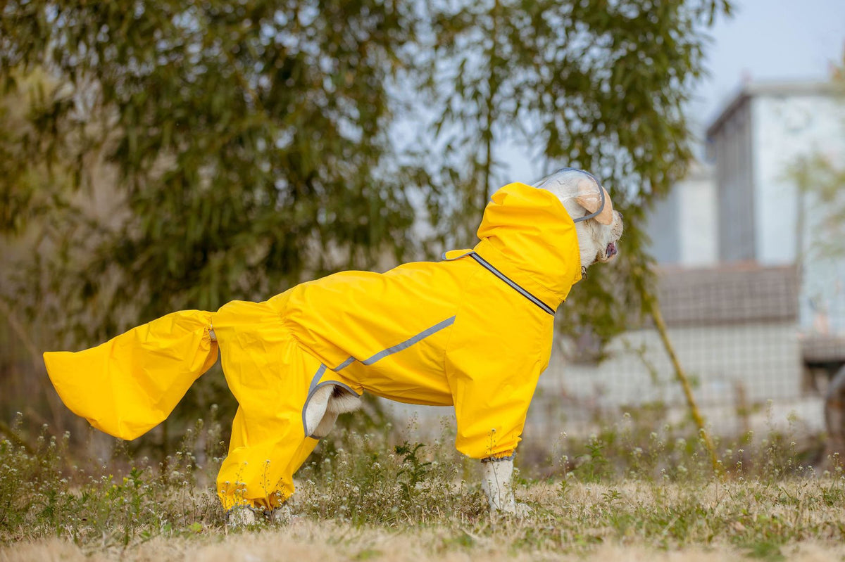 Four leg dog raincoat with tail cover, available in 4 styles, image 19