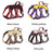 Escape-resistant reflective dog harness, ideal for everyday use