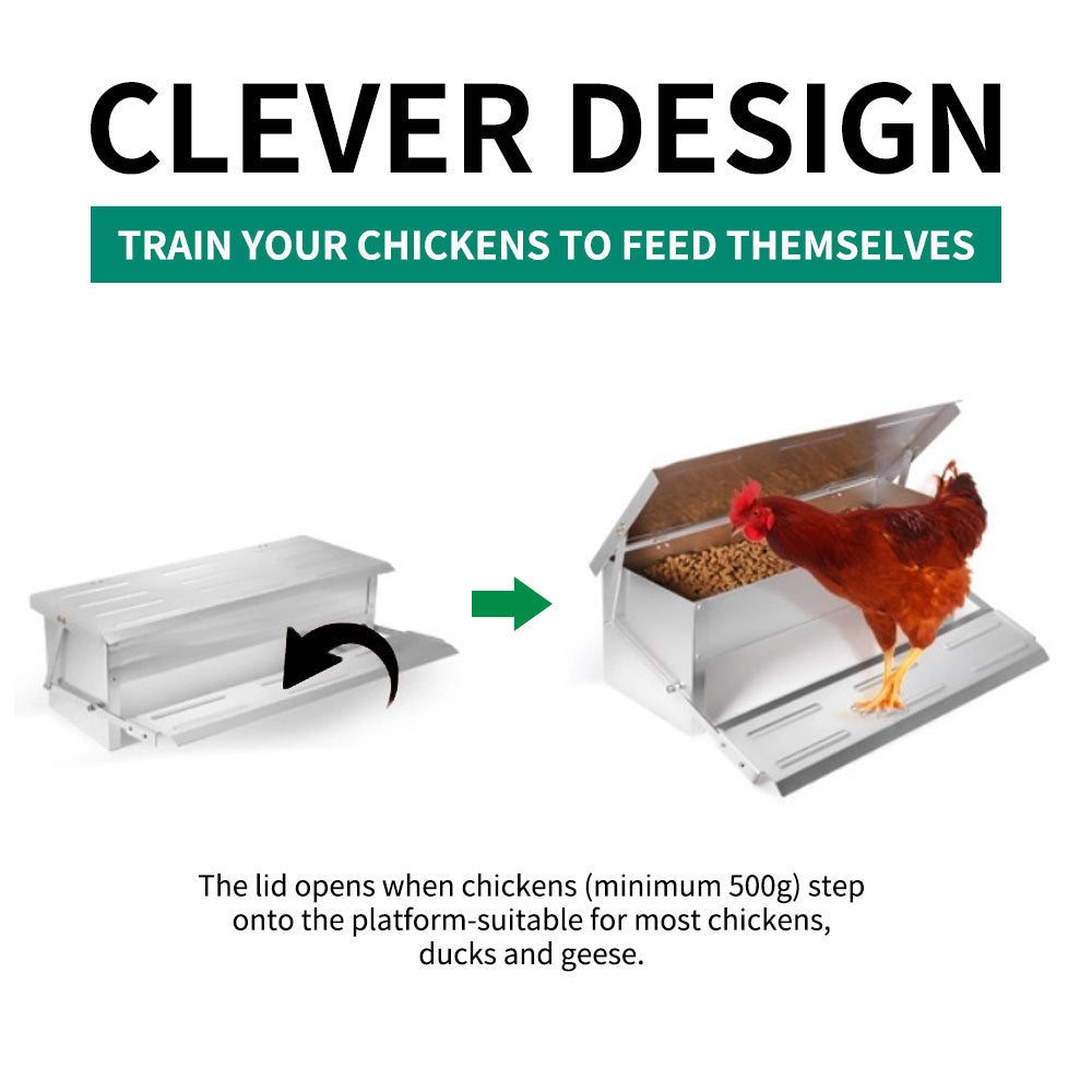 Automatic Pedal Chicken Feeder Trough 5kg in Iron or Stainless Steel