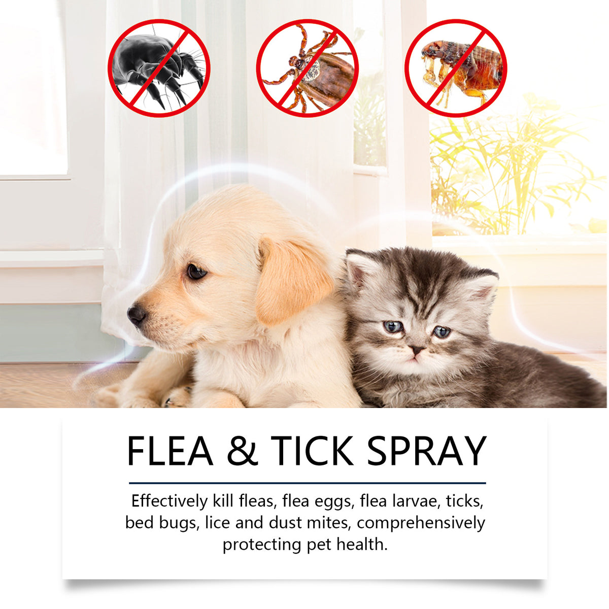 Pet Deworming Care Spray for Dogs and Cats, Gentle Formula