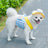 Plaid cat and small dog harness and lead set in blue check, view 1