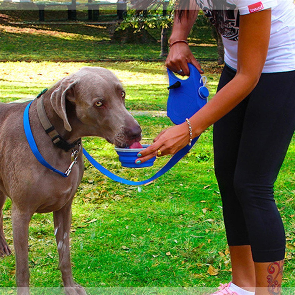 3-in-1 dog lead with water bottle handle in 3 colour options