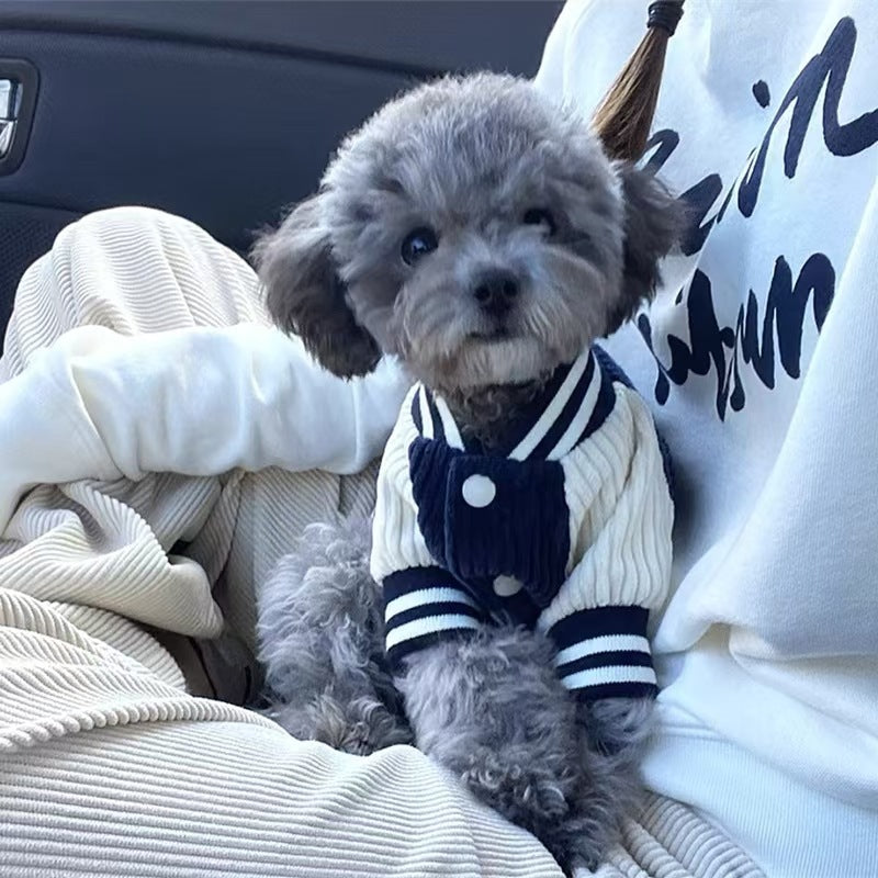 Varsity baseball jacket for small dogs and cats, available in 2 colours, image 2
