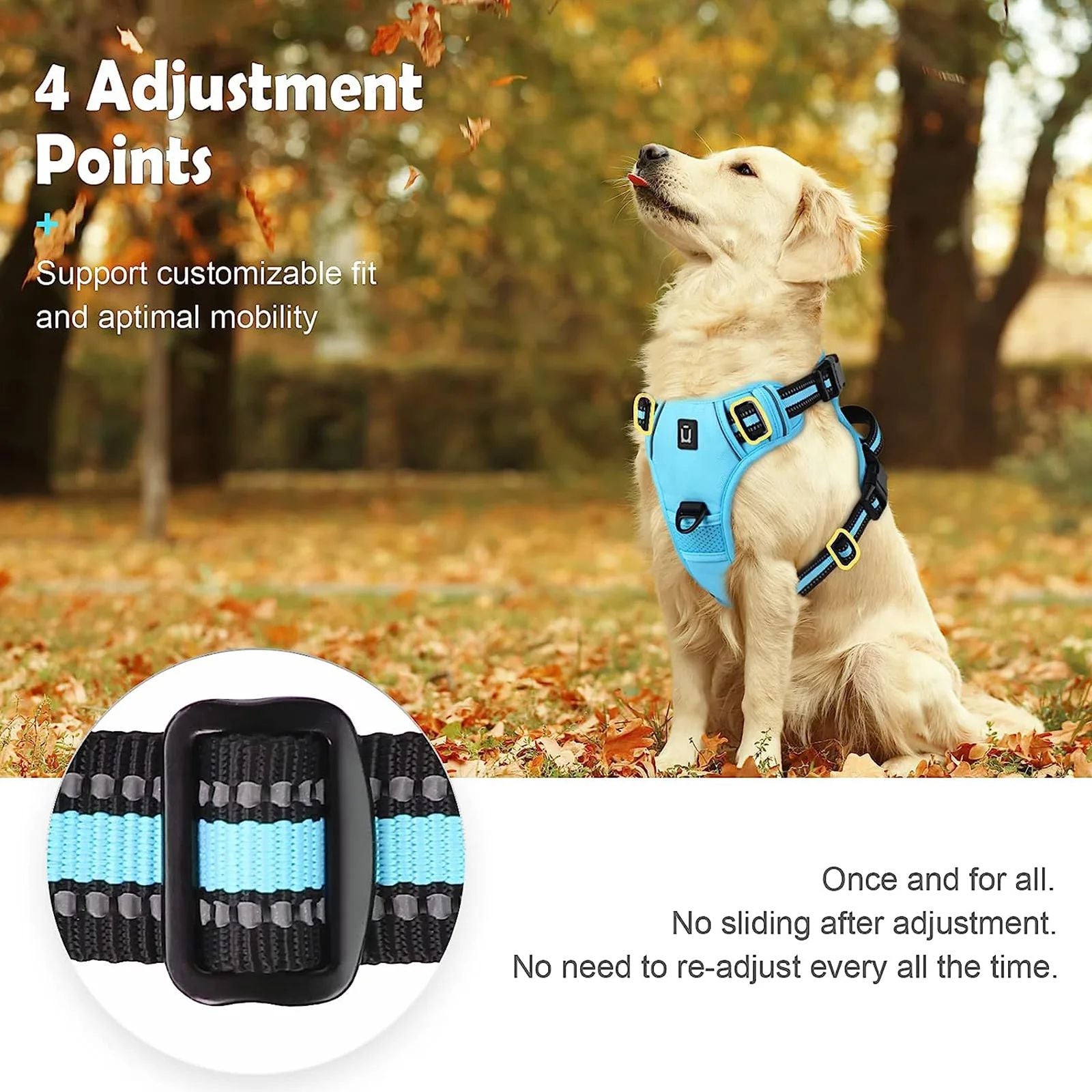 No-pull soft padded dog harness, available from Pet Royale UK