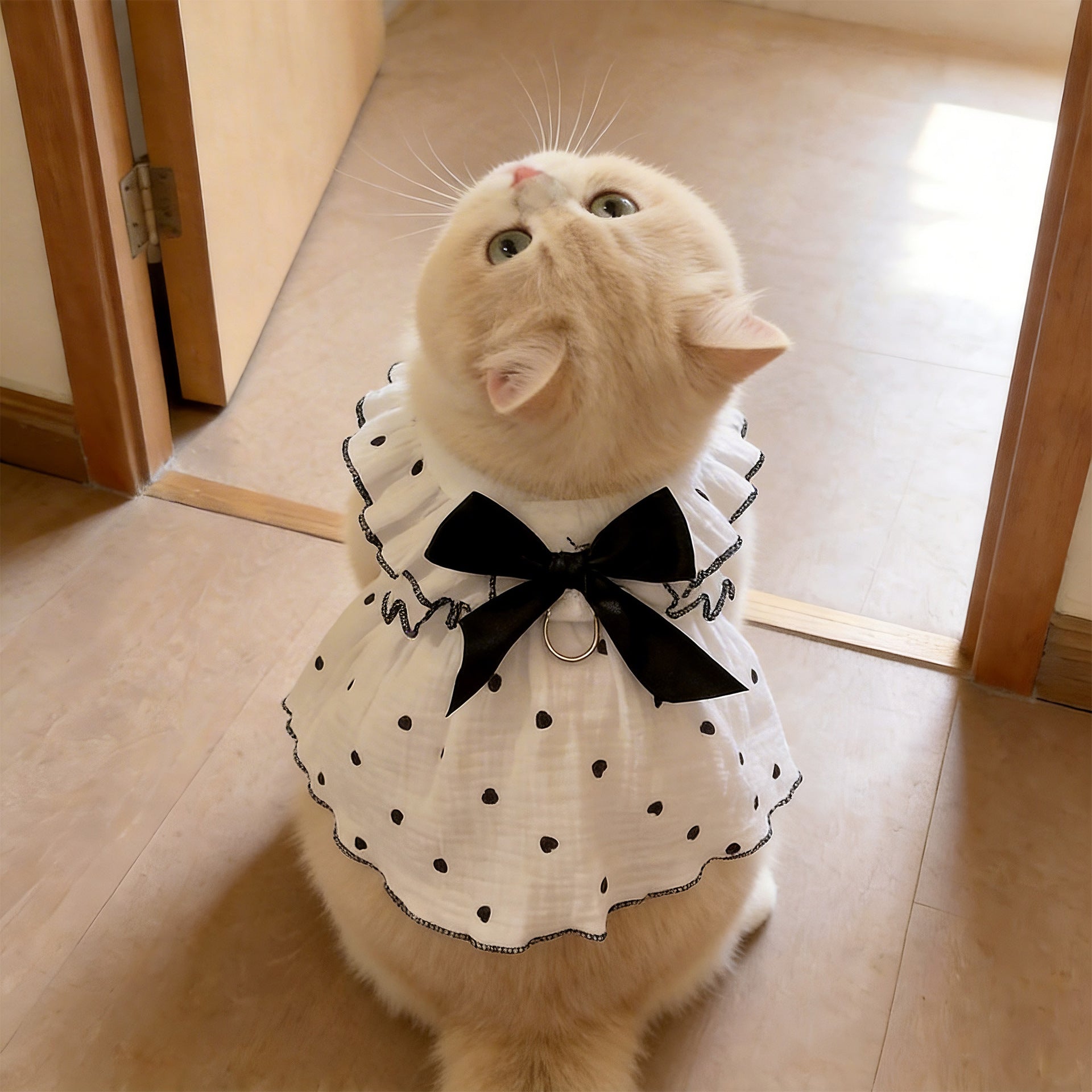 Summer pet dress with lead ring for dogs and cats, image 2