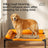 Elevated Mesh Pet Bed, Breathable Raised Cot for Dogs and Cats