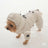 Four-leg padded winter jacket for small dogs in Pink, in a home setting