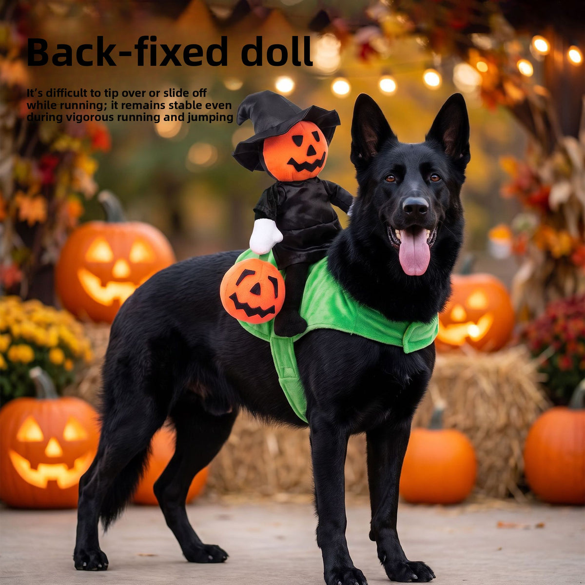 Halloween pumpkin knight rider costume for cats and dogs