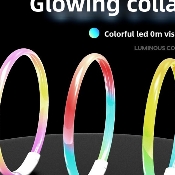 Rechargeable glowing LED dog collar for night walks, view 45