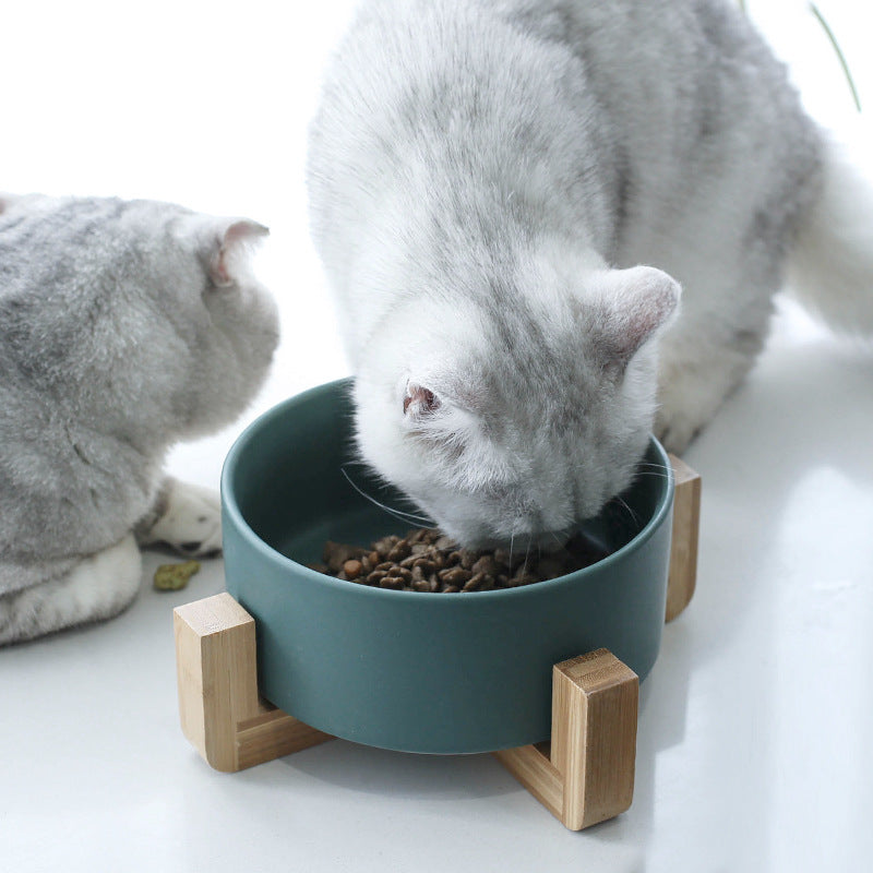 Green double ceramic pet bowl set with wooden stand