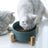 Green double ceramic pet bowl set with wooden stand