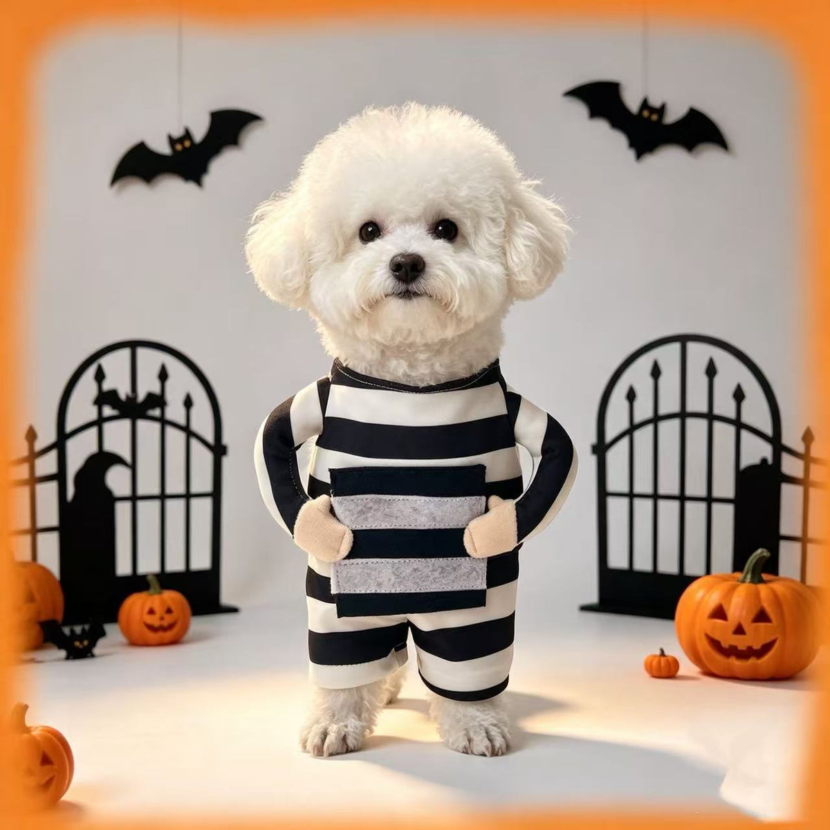 Small dog wearing a funny striped prisoner costume