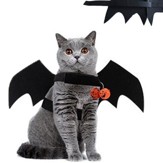 Black cat wearing felt Halloween bat wings with a small bell