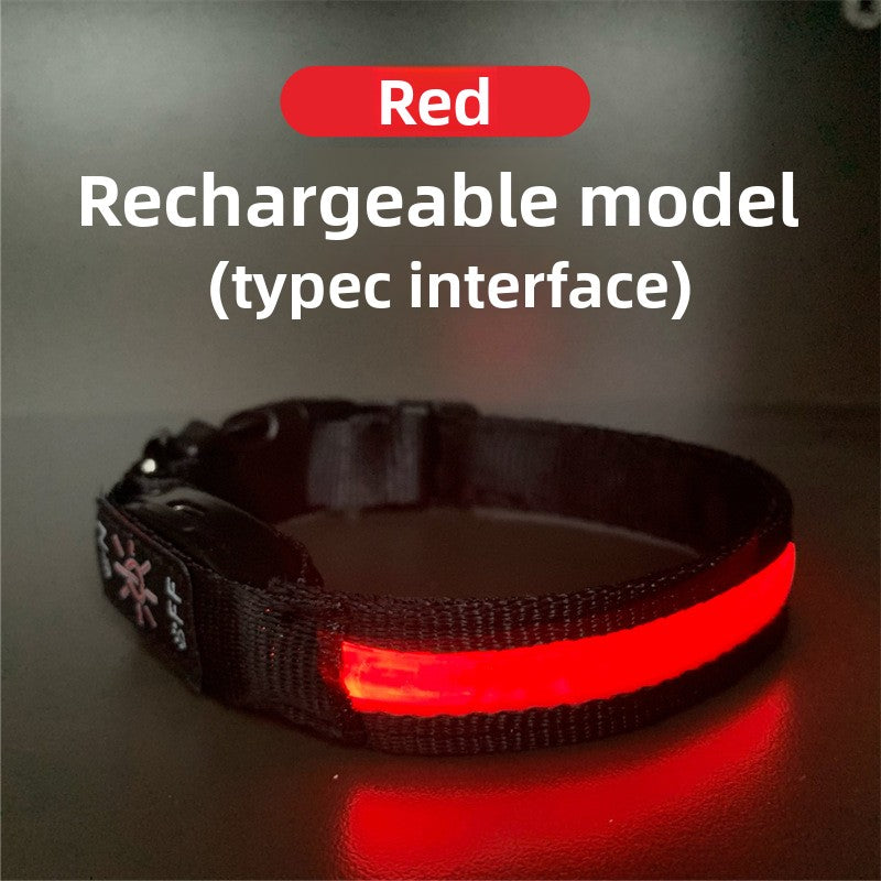 USB rechargeable LED dog collar, available from Pet Royale UK