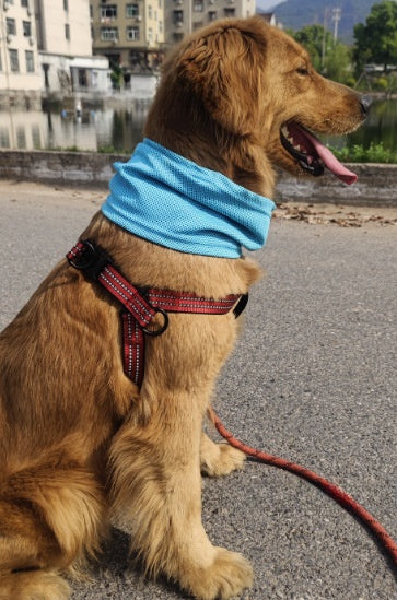 Cool touch cooling scarf for dogs and cats, available in 9 colours, image 18