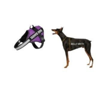 Reflective dog harness and lead set, available from Pet Royale UK