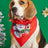 Cartoon print pet bandana for dogs and cats in Design 16, top view
