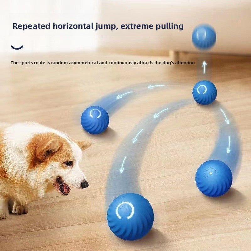 Automatic jumping ball dog toy, shown in 2 colours and styles