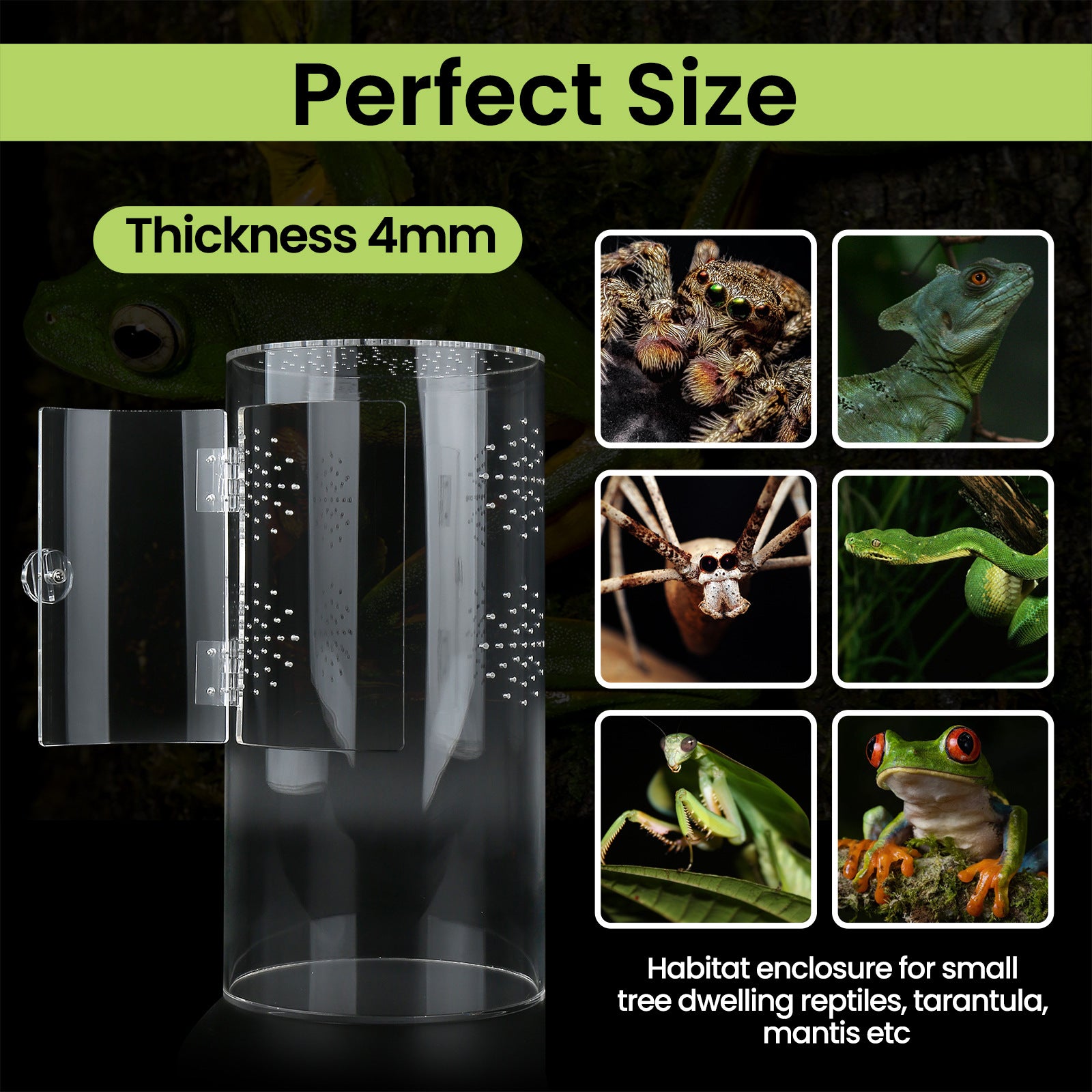Clear acrylic cylinder enclosure with front door for small reptiles, view 2