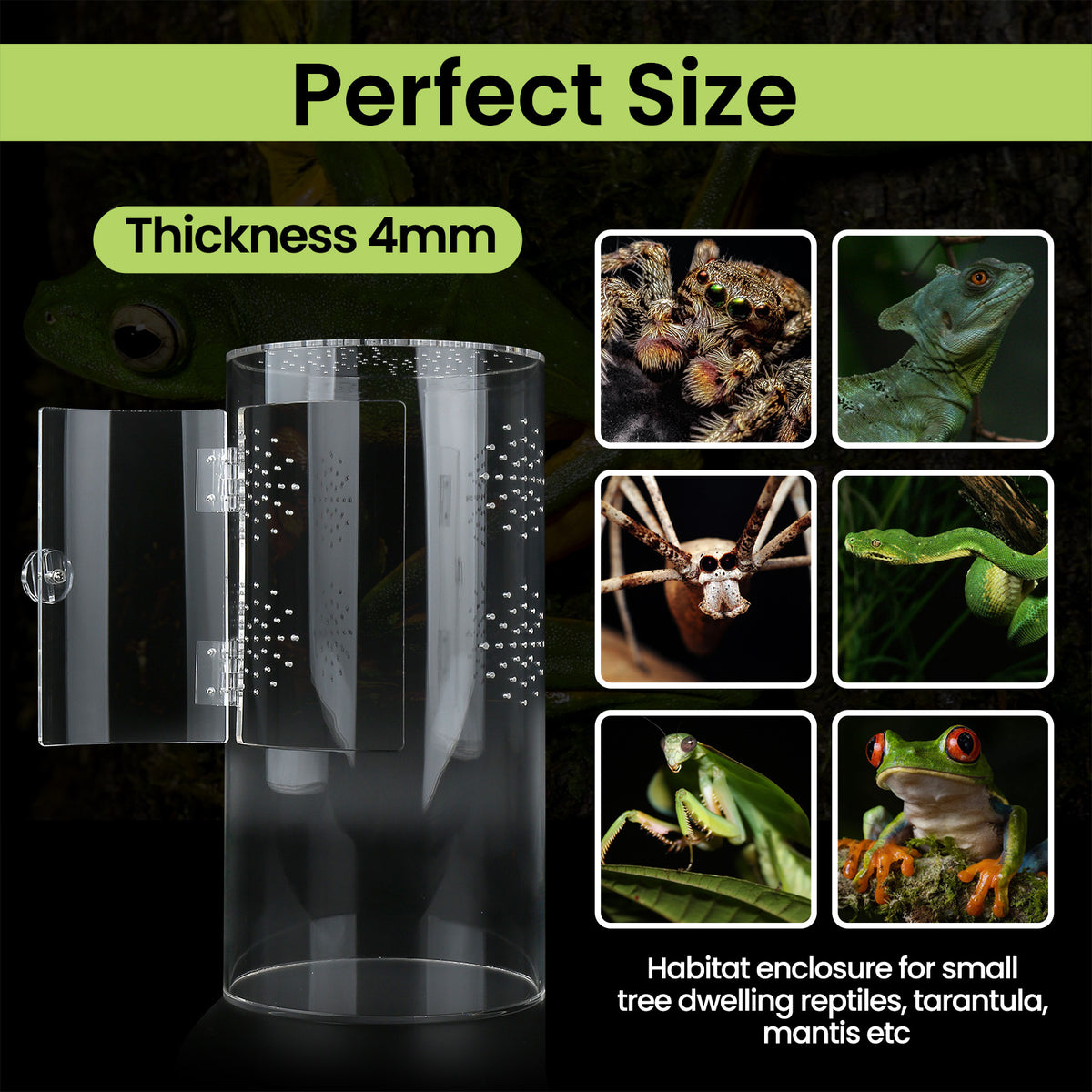 Clear acrylic cylinder enclosure with front door for small reptiles, view 2