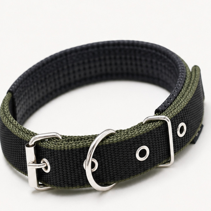 Padded nylon dog collar with foam lining, 5 sizes available
