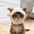 Cute animal headgear hat for cats and small dogs in Goose, front view
