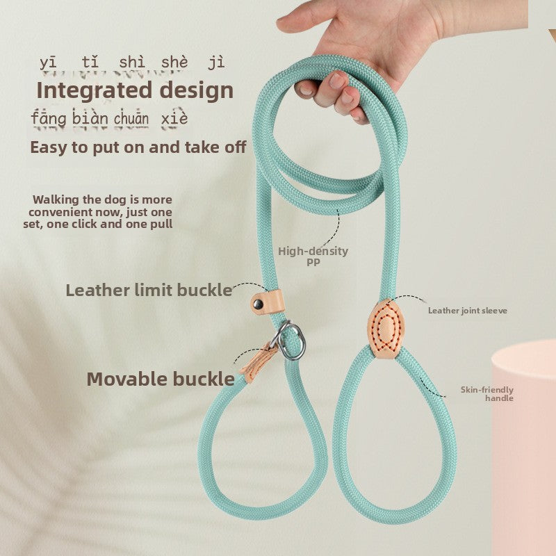 Heavy-duty braided slip dog lead in 7 colour options