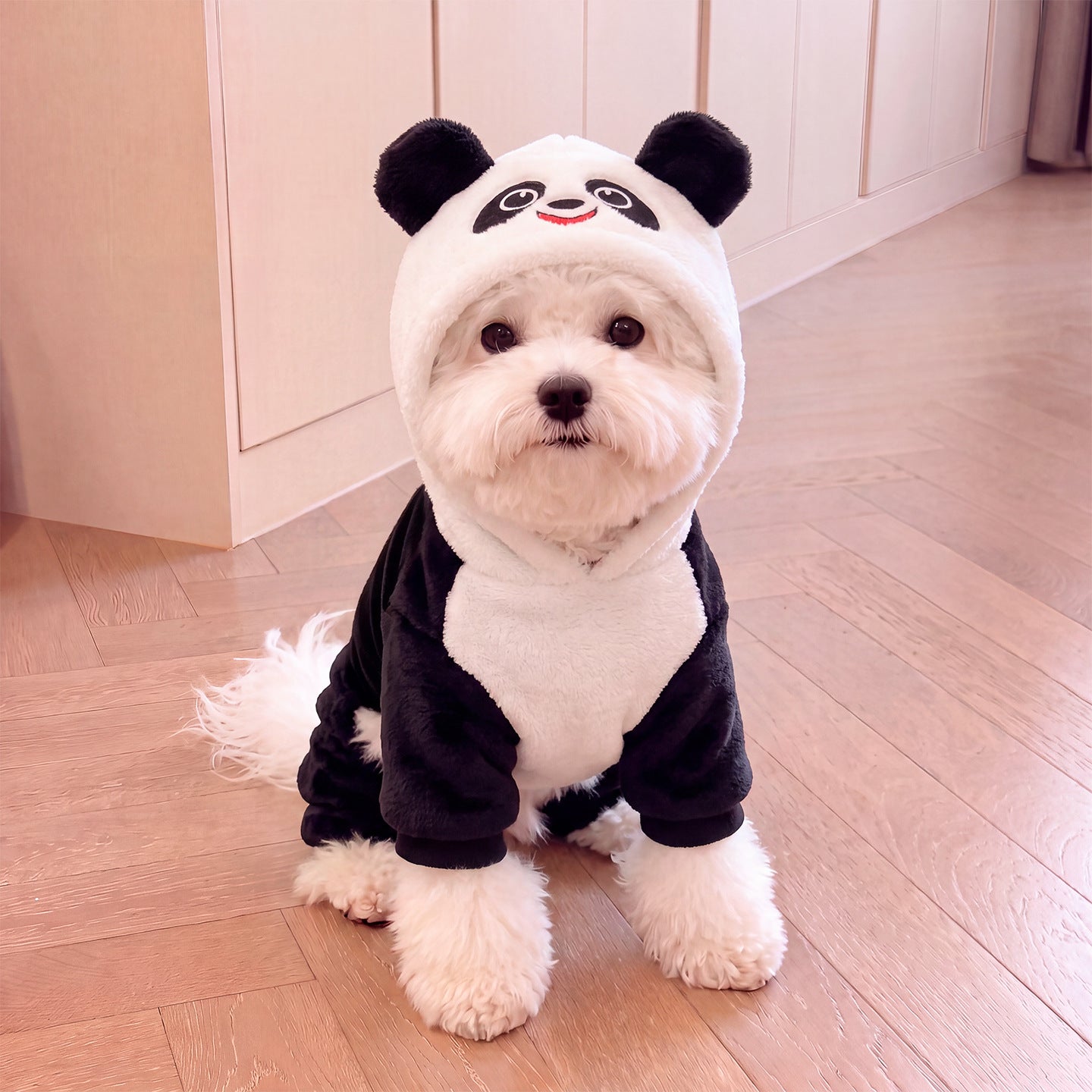 Coral fleece panda costume for small dogs and cats