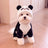 Coral fleece panda costume for small dogs and cats