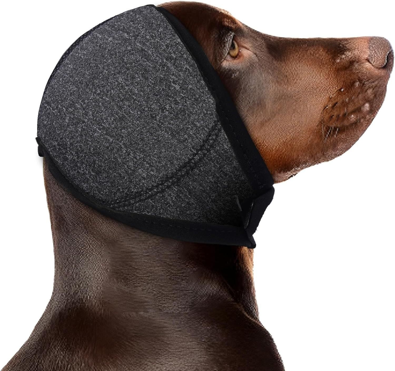 Calming Dog Hood for Noise Reduction During Fireworks