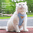 Escape-resistant vest harness and lead for dogs and cats in 4 colour options