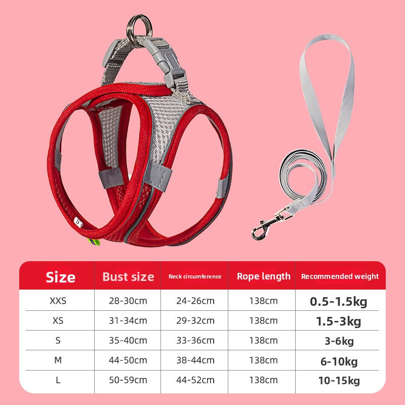 Two-tone padded harness and lead set, available from Pet Royale UK