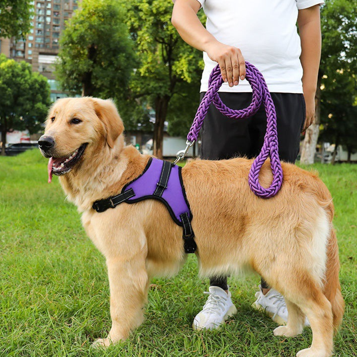 Blue nylon harness for large dogs with braided rope lead