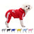 Small dog wearing a red four leg button up hoodie