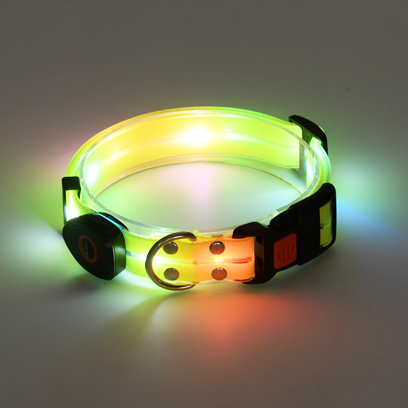 USB rechargeable LED dog collar and lead in Black Collar, side view