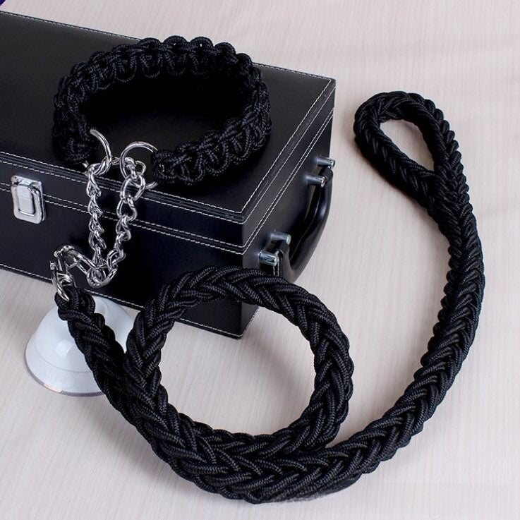 Nylon dog lead with ergonomic grip, ideal for everyday use