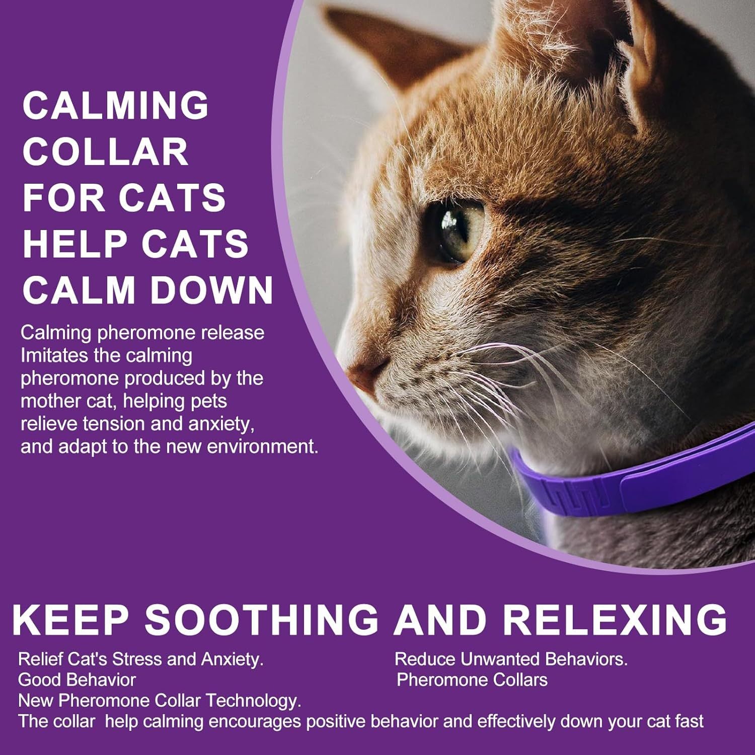 Pet Comfort Collar