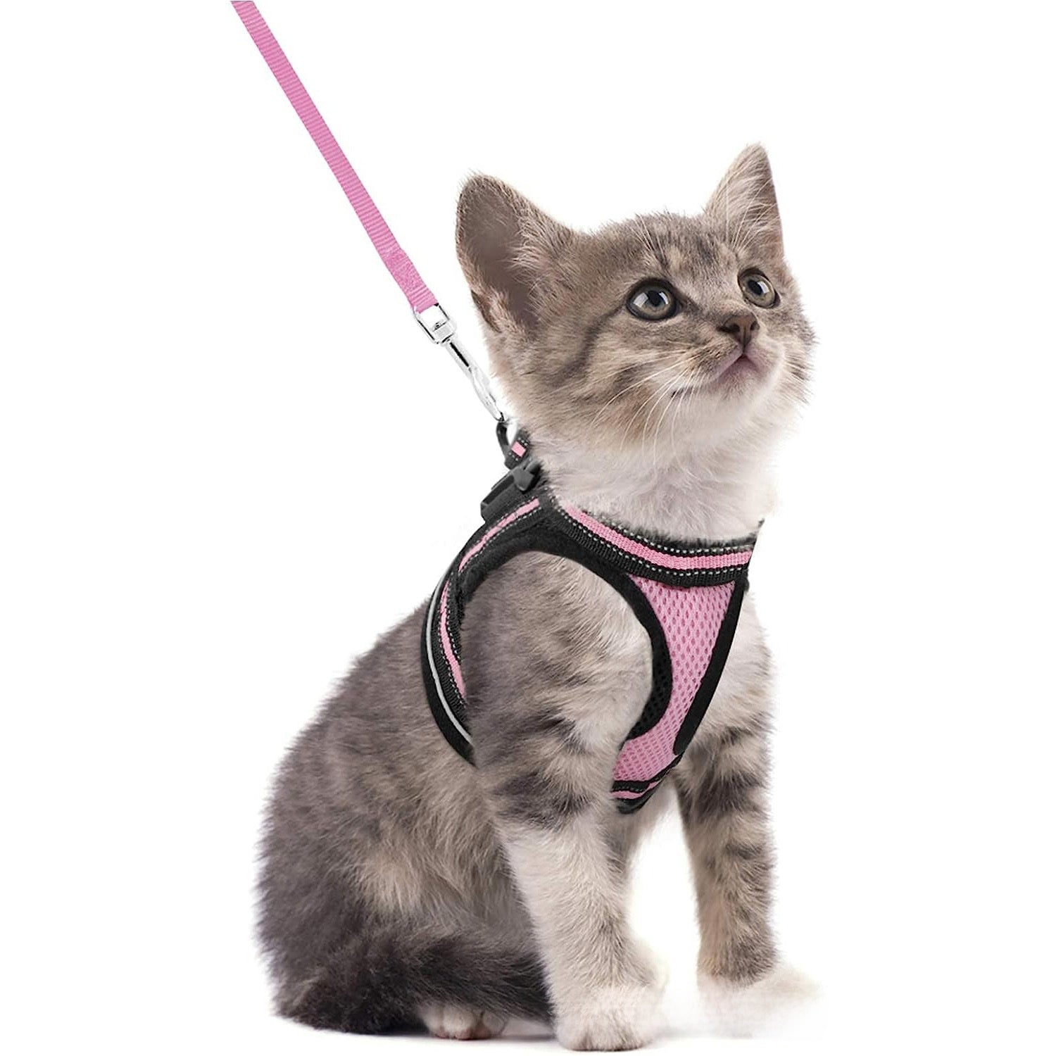 Escape-proof reflective harness and lead set, ideal for everyday use