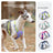 Quick-dry reflective polyester mesh dog harness in purple, product image 2